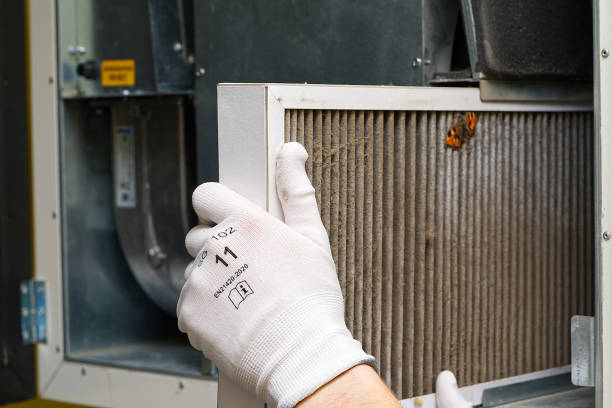 Best Air Filter Replacement Services in Village Of The Branch, NY